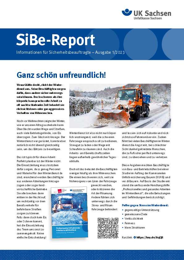 SiBe-Report